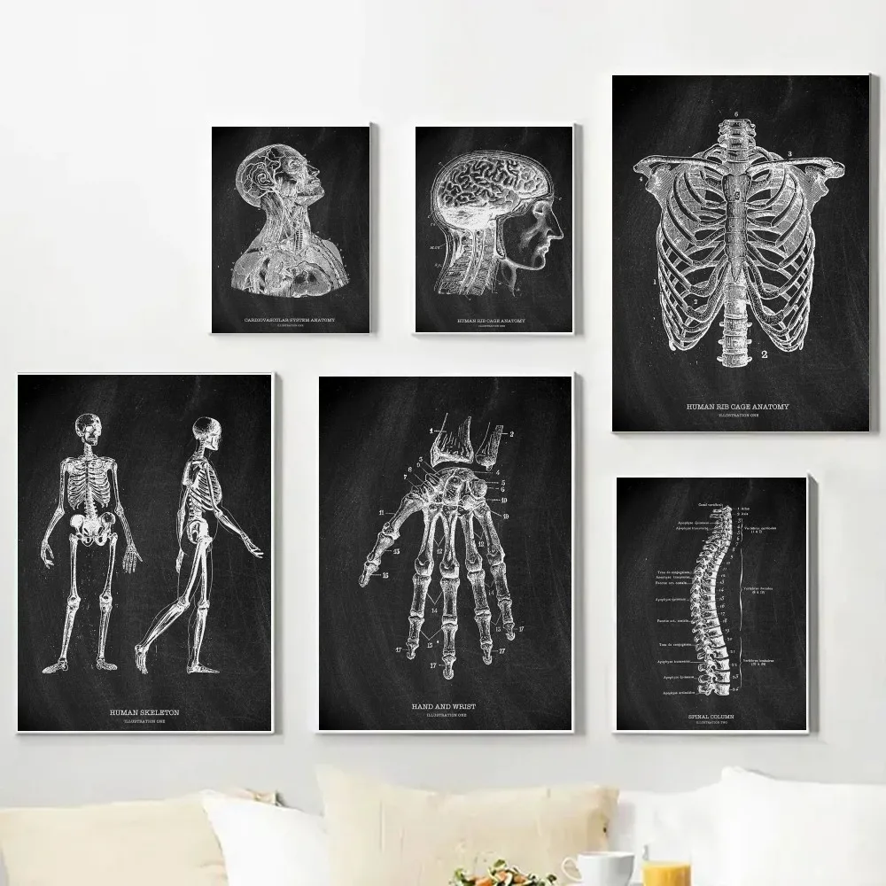 Badminton Poster - Anatomia esqueleto quadro negro cartaz médico