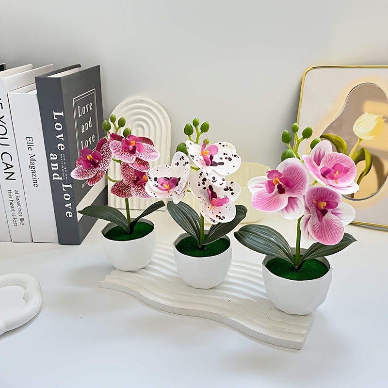 3 peças de Orquídeas Phalaenop - Badminton Live avaliação e preço
