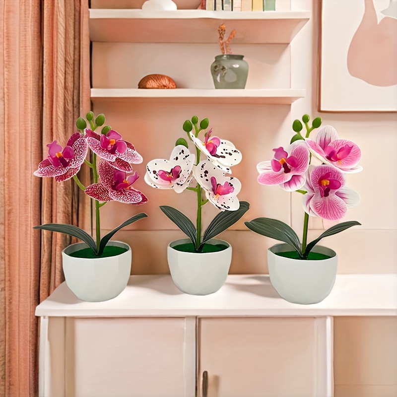 3 peças de Orquídeas Phalaenop - Badminton Live avaliação e preço