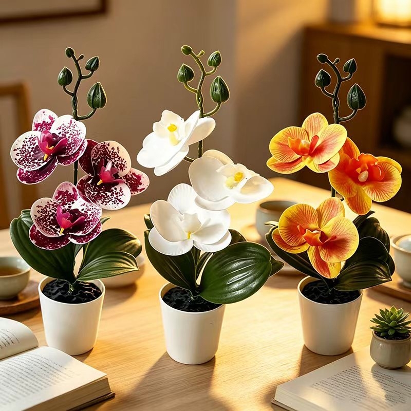 Mini orquídea borboleta em vas - Badminton Live avaliação e preço