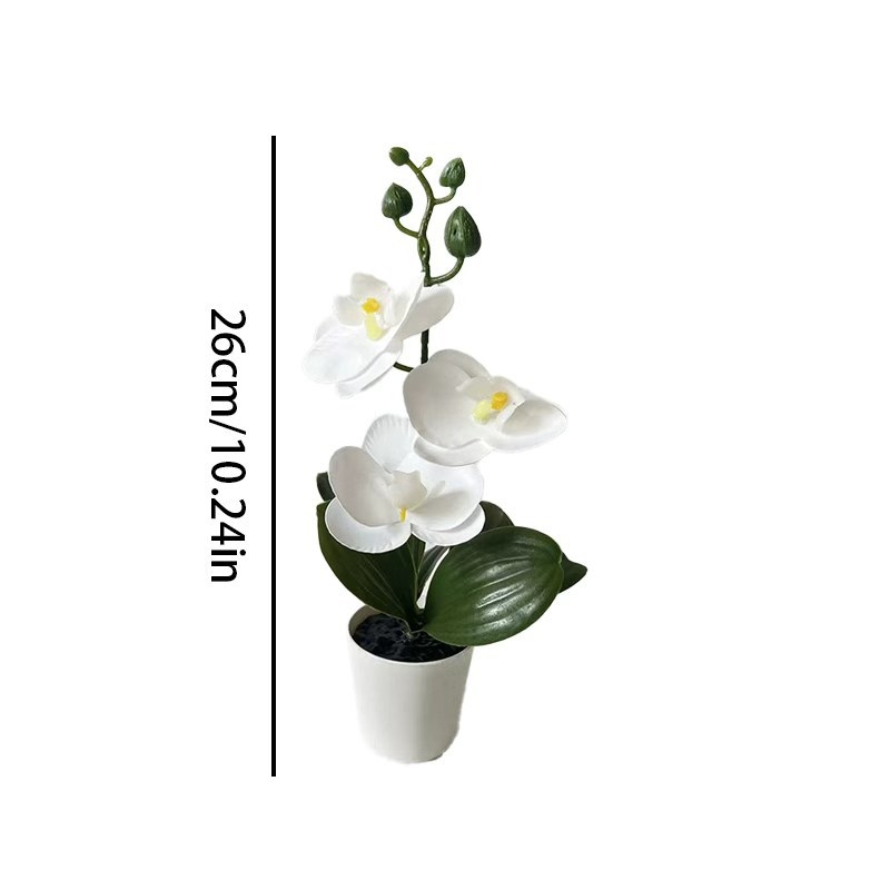 Mini orquídea borboleta em vas - Badminton Live avaliação e preço