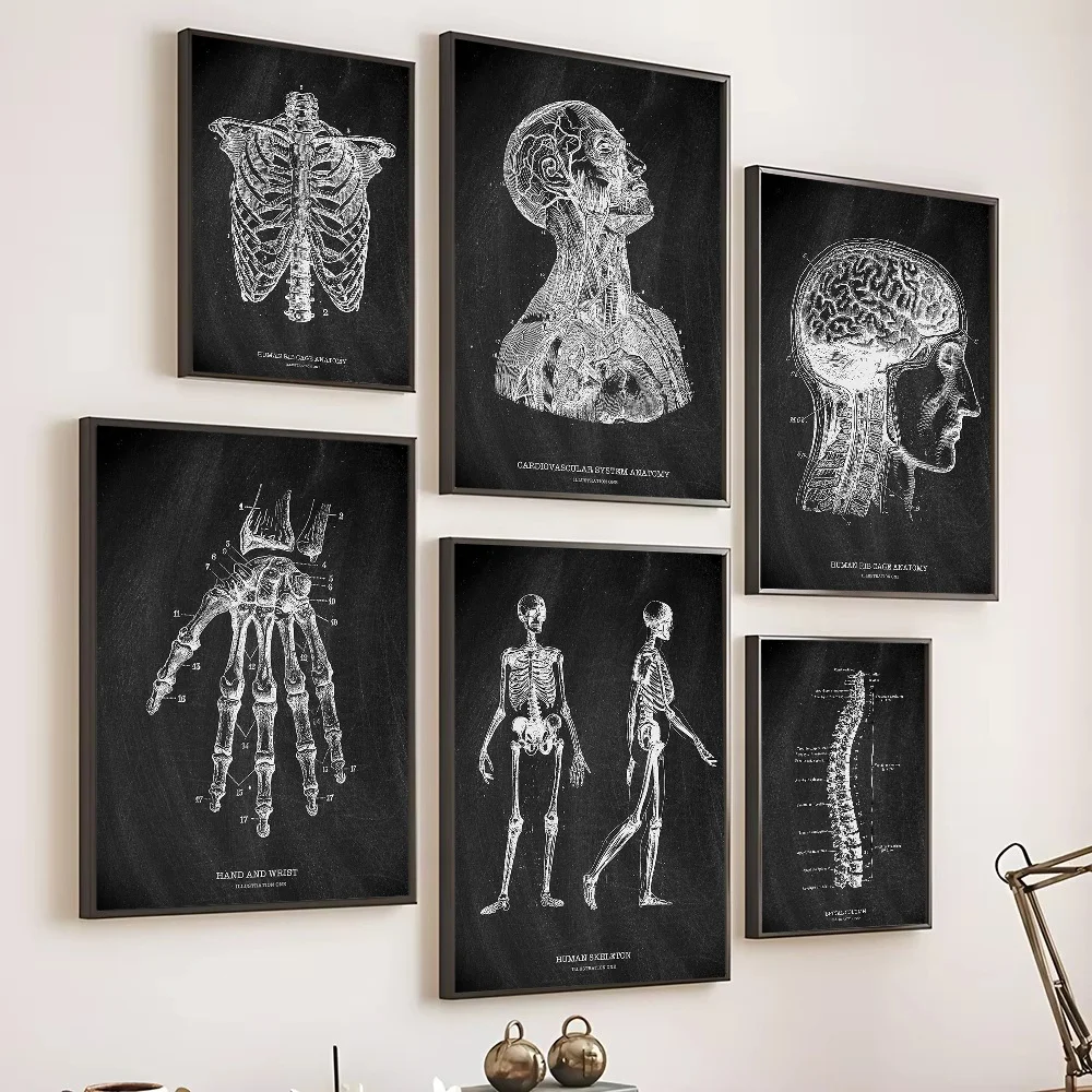 Anatomia esqueleto quadro negr - Badminton Poster avaliação e preço