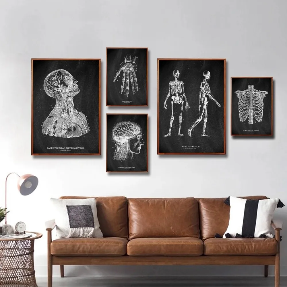 Anatomia esqueleto quadro negr - Badminton Poster avaliação e preço