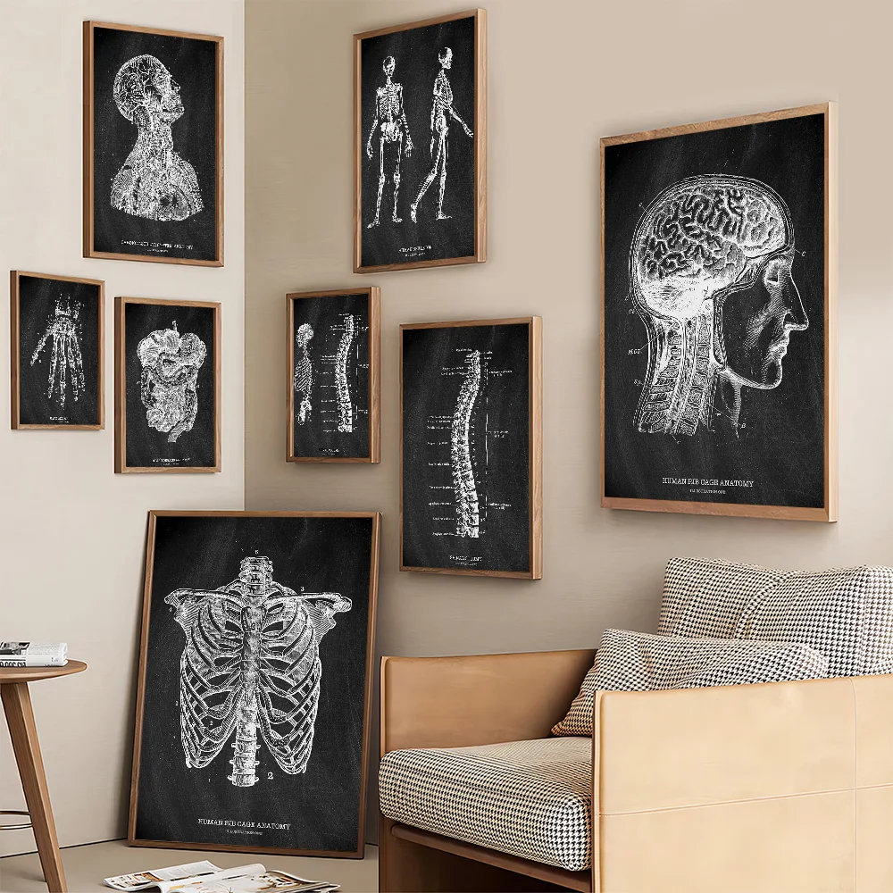Anatomia esqueleto quadro negr - Badminton Poster avaliação e preço