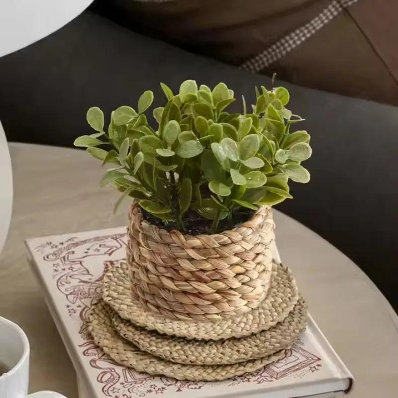 1pc vaso de plantas pequenas p - Badminton Live avaliação e preço