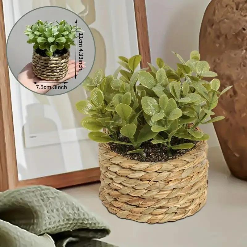1pc vaso de plantas pequenas p - Badminton Live avaliação e preço