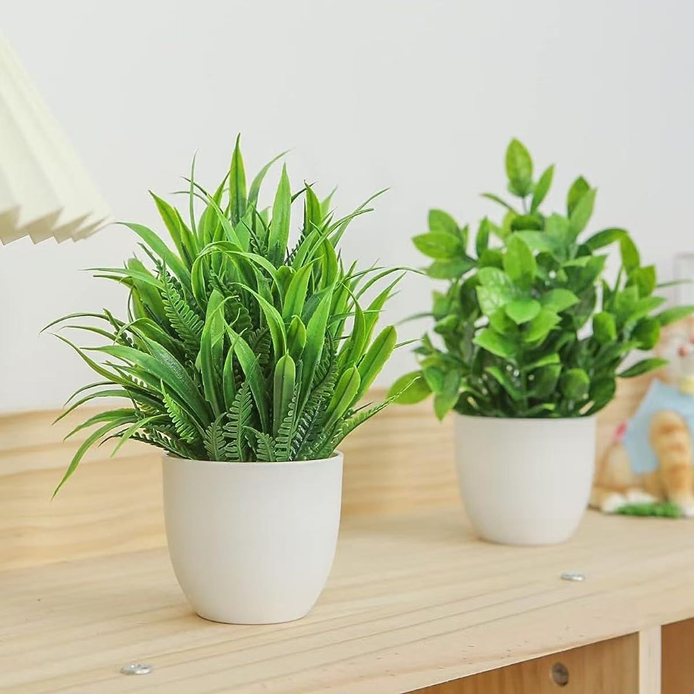 Conjunto de 4 Plantas Artifici - Badminton Live avaliação e preço